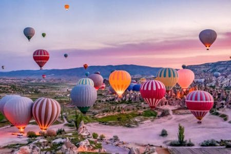 All About Turkey