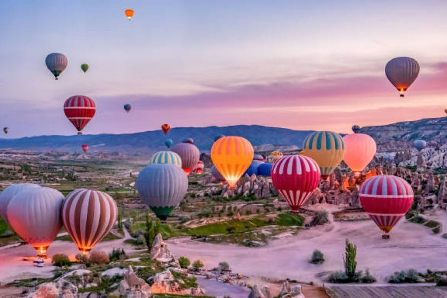 All About Turkey