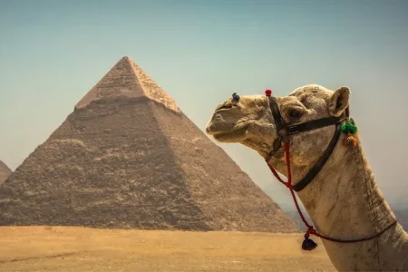 Essential Egypt